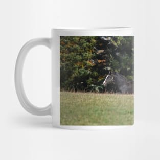 Foal Mug